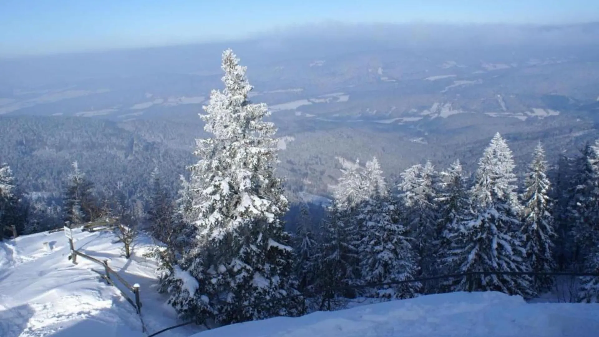 Holiday home Comfort Apartment With Balcony In The Beautiful Bavarian Forest Drachselsried Germany