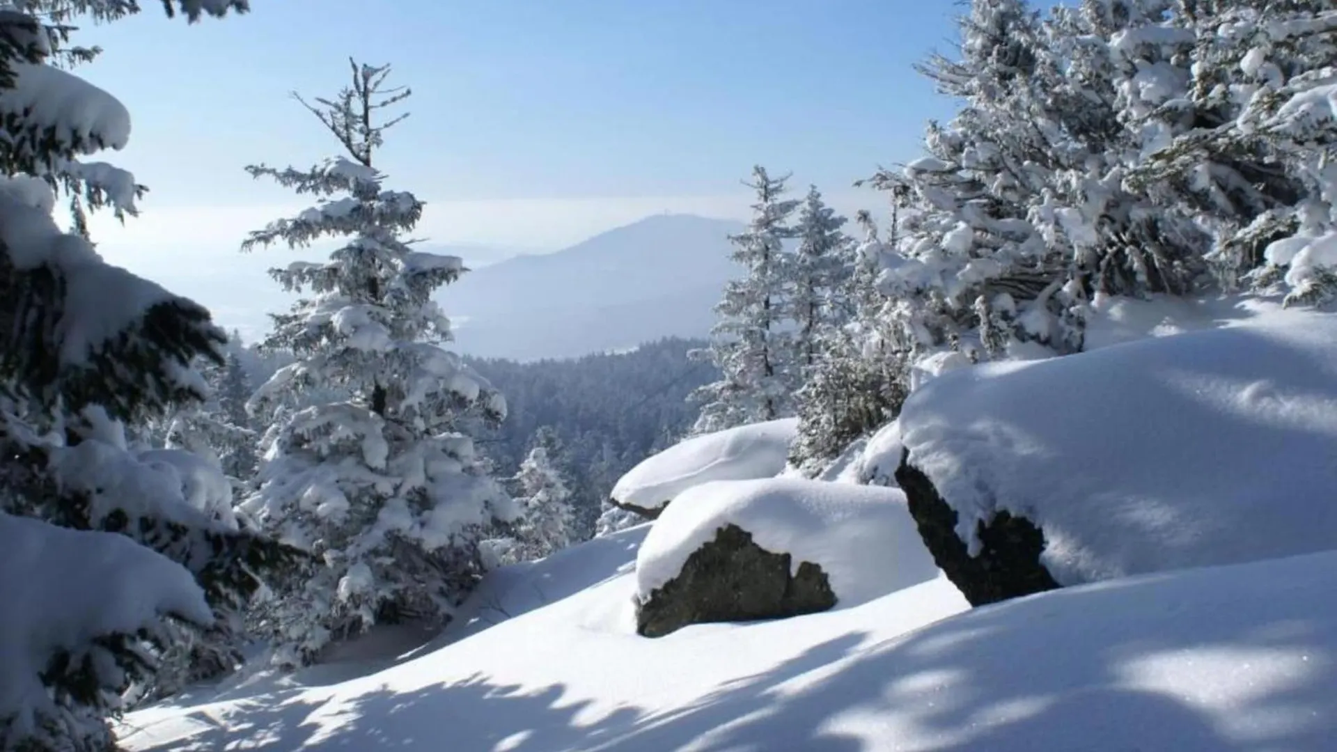 Holiday home Comfort Apartment With Balcony In The Beautiful Bavarian Forest Drachselsried