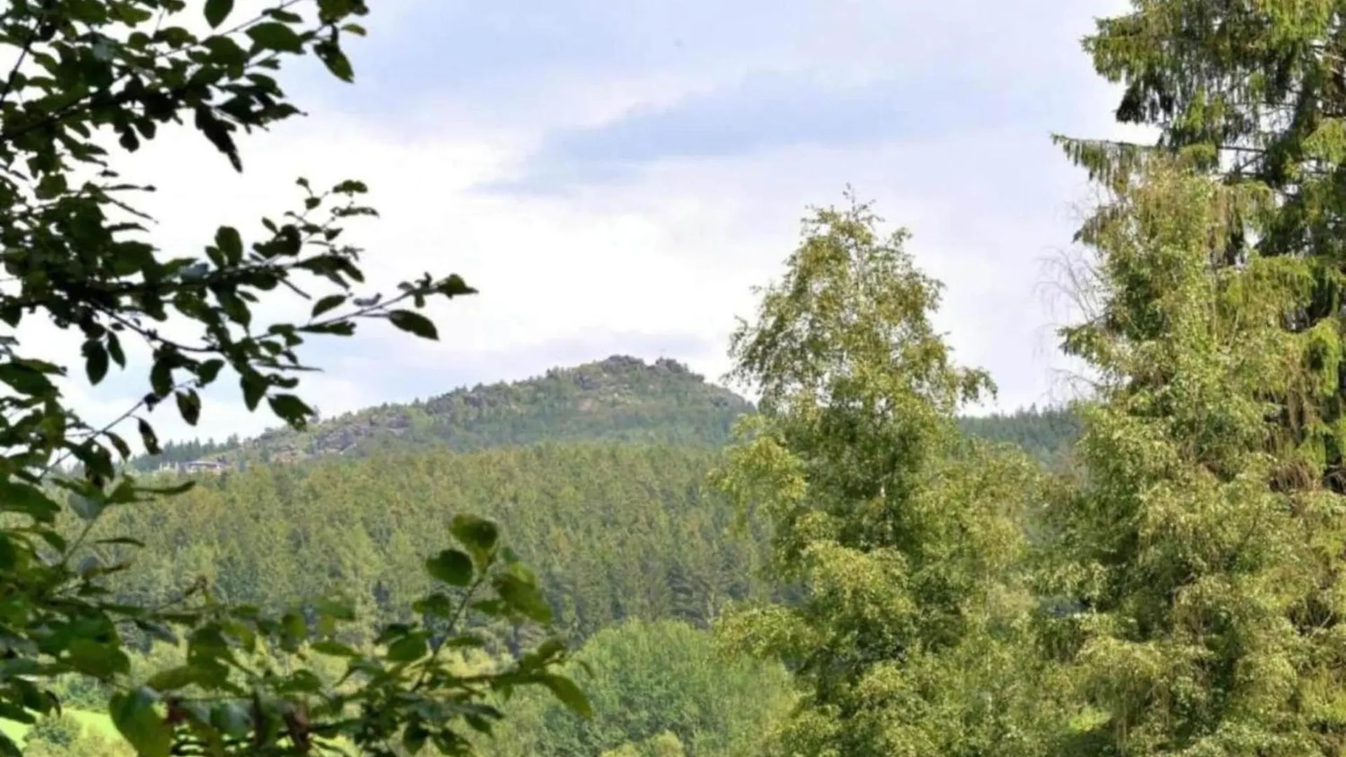 Comfort Apartment With Balcony In The Beautiful Bavarian Forest Drachselsried Holiday home