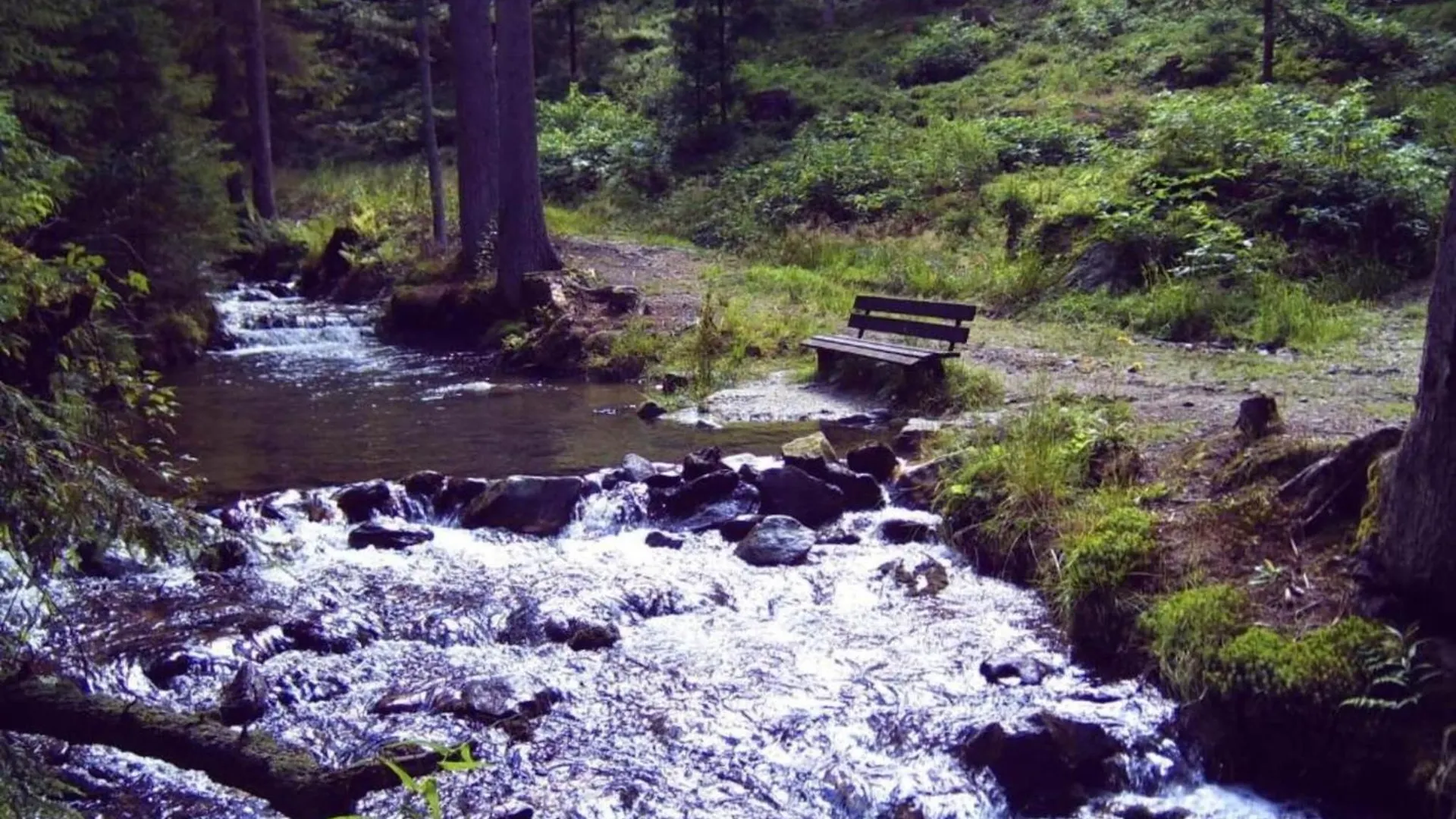 Holiday home Comfort Apartment With Balcony In The Beautiful Bavarian Forest Drachselsried Germany