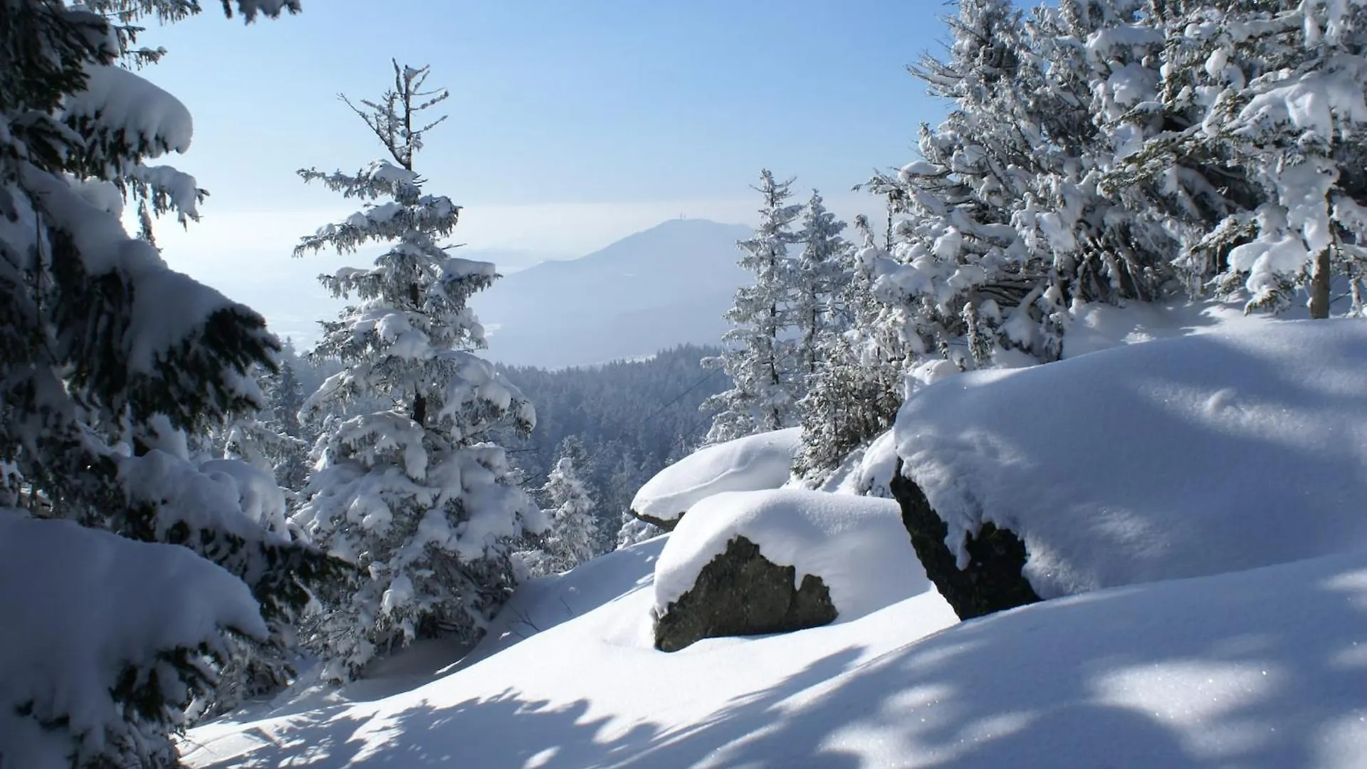 Comfort Apartment With Balcony In The Beautiful Bavarian Forest Drachselsried Holiday home