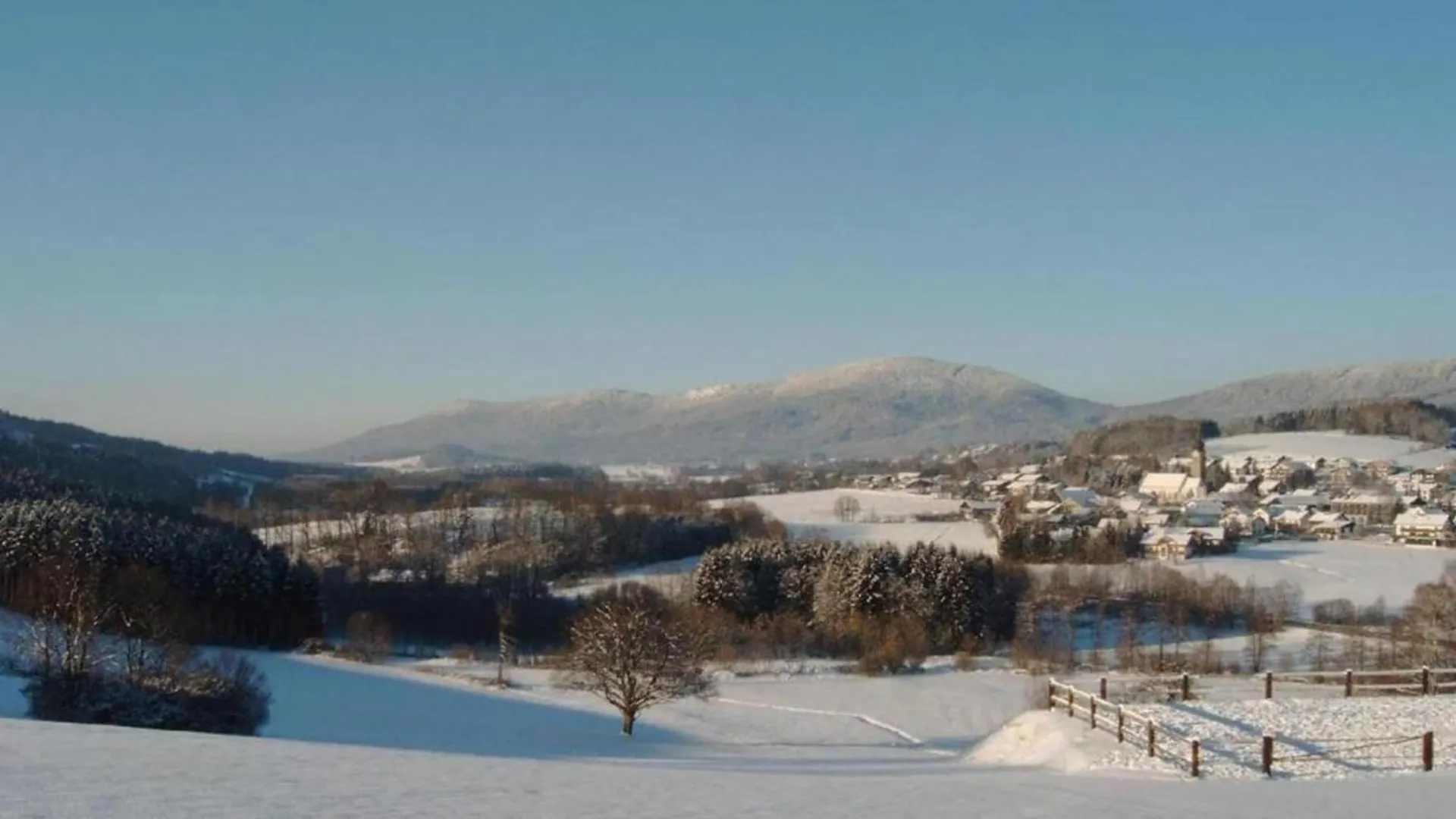 Comfort Apartment With Balcony In The Beautiful Bavarian Forest Drachselsried Vakantiehuis