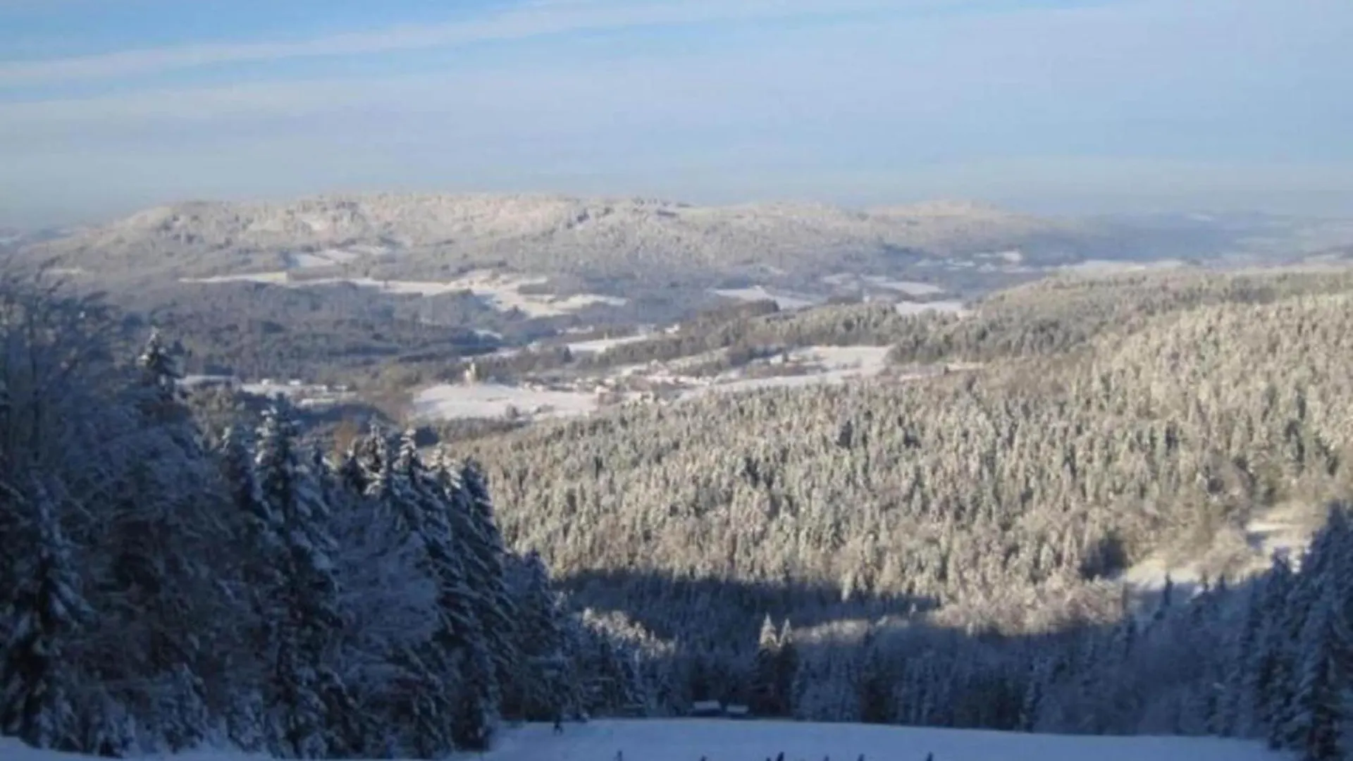 Comfort Apartment With Balcony In The Beautiful Bavarian Forest Drachselsried 0*,