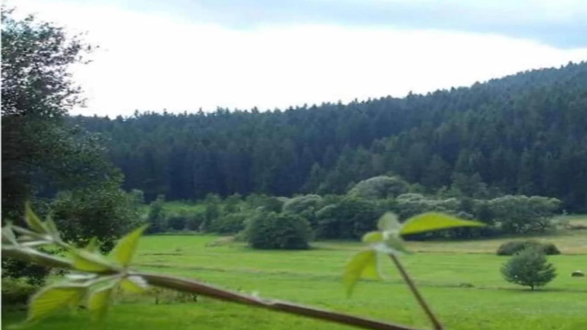 Comfort Apartment With Balcony In The Beautiful Bavarian Forest Drachselsried
