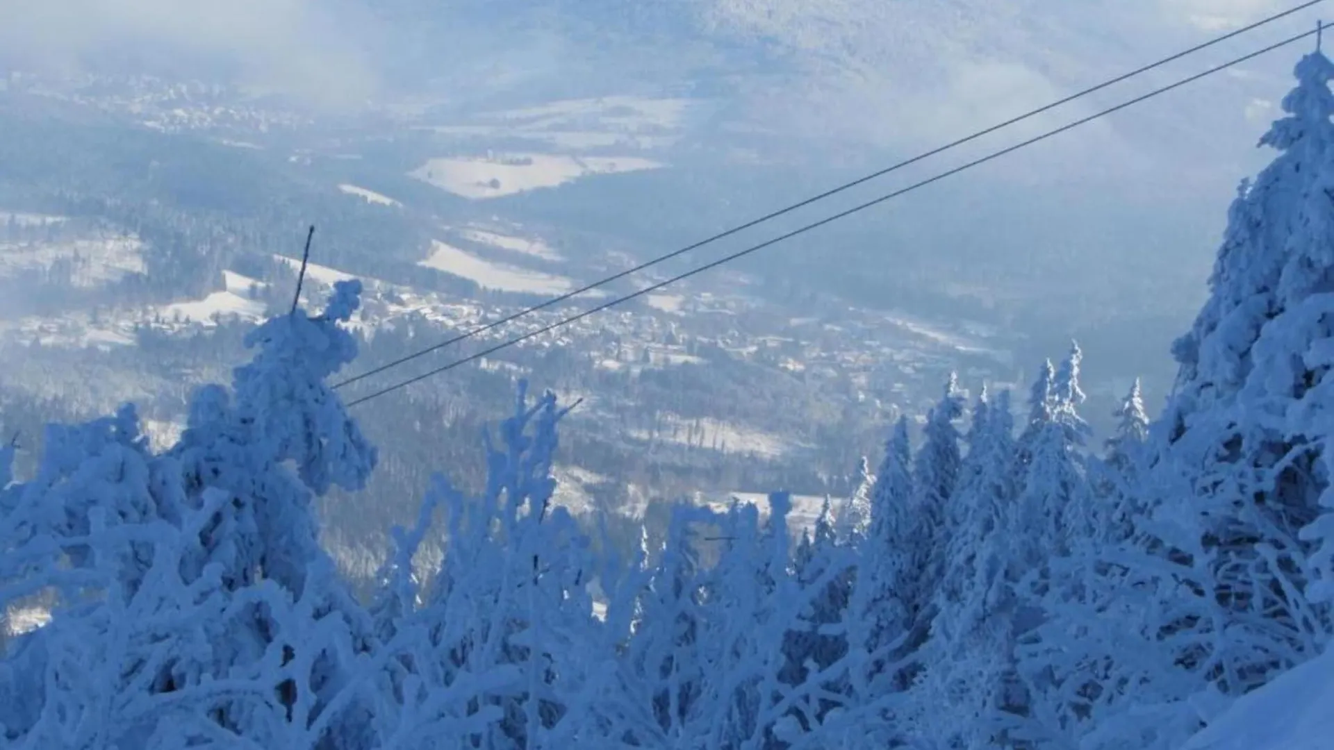 Comfort Apartment With Balcony In The Beautiful Bavarian Forest Drachselsried Vakantiehuis
