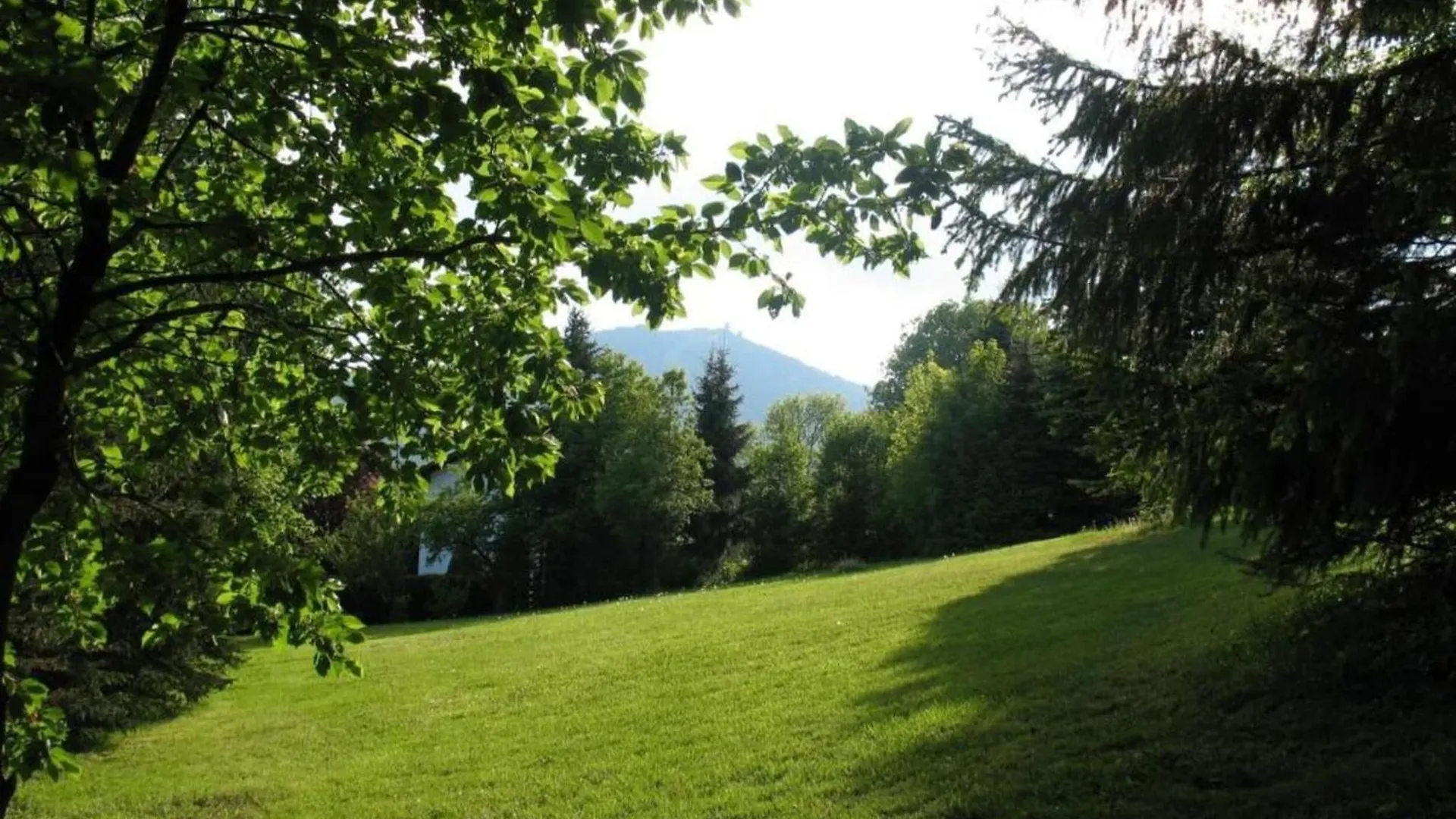 Vakantiehuis Comfort Apartment With Balcony In The Beautiful Bavarian Forest Drachselsried